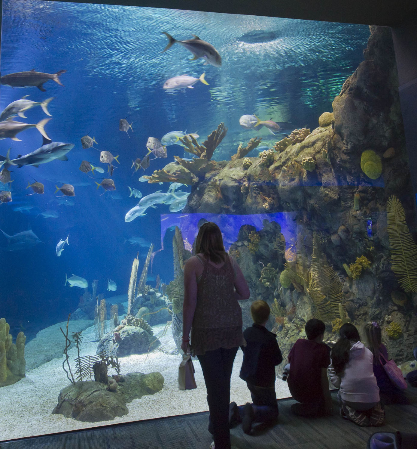 No. 1: Henry Doorly Zoo & Aquarium